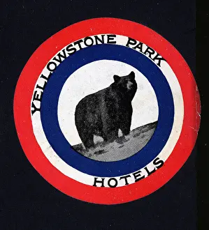 Sticker Prints: Yellowstone National Park Souvenir