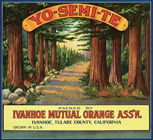 Yosemite Prints: Yo-Semi-Te