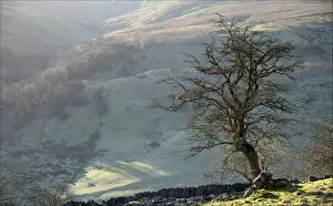 Terry Roberts Landscape Photography Collection: Yockenthwaite valley