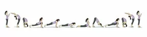 Sequences Collection: Yoga Sun Salutations Sequence Illustration