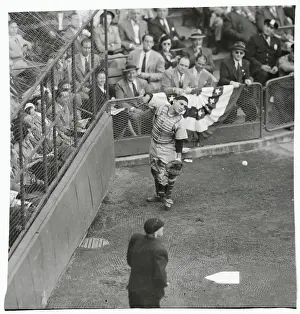 Yogi Berra Missing Foul Ball