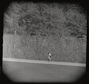 Yogi Berra Watching Ball Going Over Wall