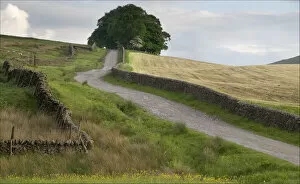 Terry Roberts Landscape Photography Collection: Yorkshire Dales Wall art