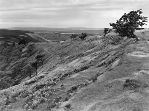 Yorkshire Moors