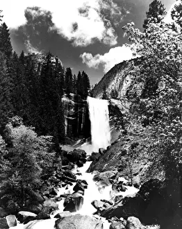 Yosemite Park