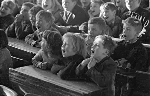Young Audience