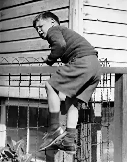 Young boy climbing fence