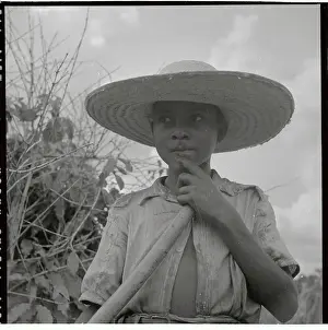 Young Brazilian Boy Working on Plantation