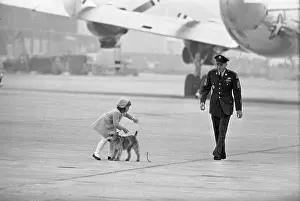 Young Caroline Kennedy Trying to Hold Dog on Runway with John F. Kennedy Nearby
