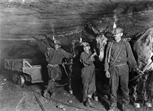 Young Coal Mine Drivers and Mules
