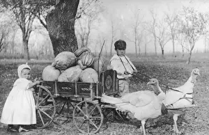 Young Farmers