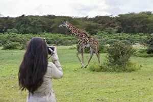 Images Dated 16th October 2011: Young female photographer taking pictures of a Masai Giraffe -Giraffa camelopardalis