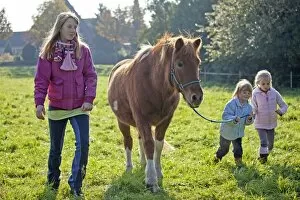 Perissodactyla Gallery: Young girls walking with a pony