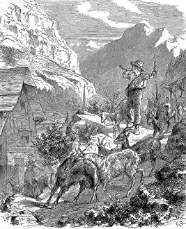 Caprid Prints: The young goatherd returns from the mountain pasture to the stable with his goats in the evening