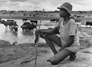 Roles And Occ Prints: Young Herdsman
