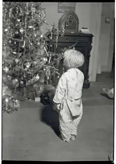 Young Jessie Douglas Mesmerized by Christmas Tree