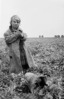 Sack Prints: Young Pea Picker