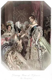 Images Dated 2009: July Collection