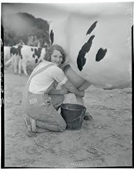Dairy Cow Prints: Young Woman Milking a Cow