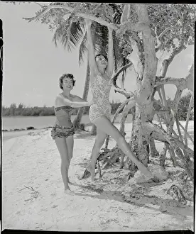 Young Women Enjoying Acrobatics by Using Tree