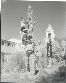 Prints of (Original Caption). California: Cactus Christmas A Timeless Christmas: Vintage Treasures: Youngsters Decorating Outdoor Cactus as Christmas Tree