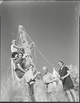 Prints of (Original Caption). California: Cactus Christmas A Timeless Christmas: Vintage Treasures: Youngsters Decorating Outdoor Cactus as Christmas Tree