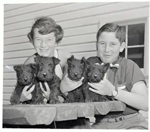 Toledo Prints: Youngsters Holding Litter of Scottie Pups