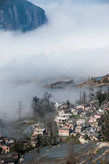 Images Dated 11th February 2012: Yuanyang rice terrace