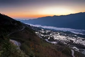 Images Dated 15th February 2012: Yuanyang rice terrace