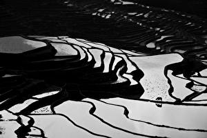 Images Dated 11th February 2012: Yuanyang rice terrace