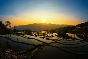Images Dated 4th March 2014: Yuanyang rice terrace