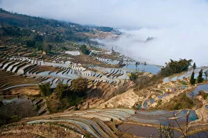 Images Dated 11th February 2012: Yuanyang rice terrace