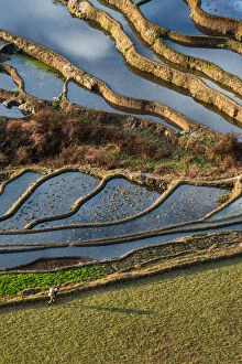 Images Dated 1st March 2016: Yuanyang rice terrace, Yunnan, China
