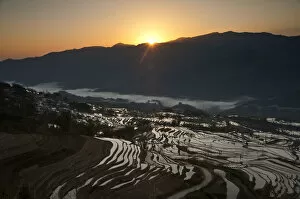 Images Dated 15th February 2012: Yuanyang rice terrace, Yunnan, China