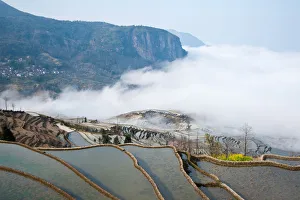 Images Dated 11th February 2012: Yuanyang rice terrace, Yunnan, China