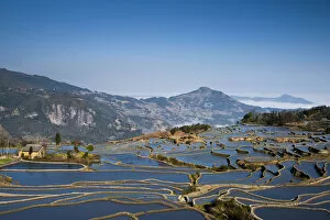 Images Dated 14th February 2012: Yuanyang rice terrace, Yunnan, China