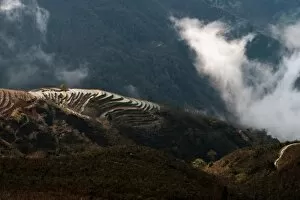 Images Dated 13th February 2012: Yuanyang rice terrace, Yunnan, China