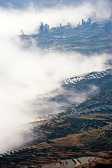 Images Dated 11th February 2012: Yuanyang rice terrace, Yunnan, China