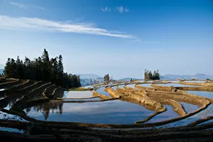 Images Dated 10th February 2012: Yuanyang rice terrace, Yunnan, China