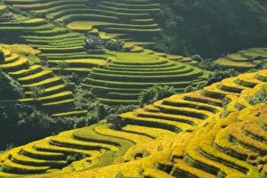Images Dated 27th September 2014: Yuanyang Rice Terraces