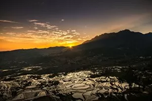 Images Dated 1st March 2014: Yuanyang rice terraces