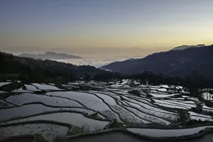 Images Dated 2nd March 2014: Yuanyang rice terraces