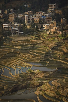 Images Dated 3rd March 2016: Yuanyang Rice Terraces