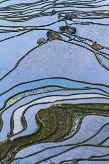 Images Dated 3rd March 2016: Yuanyang Rice Terraces