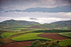 Images Dated 13th October 2012: Yunnan, China