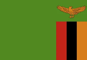 Zambia Flag Illustration