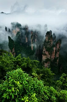 Images Dated 10th June 2012: Zhangjiejia national park