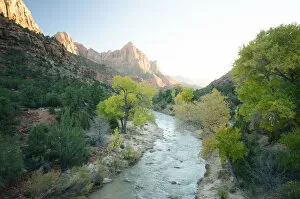 Images Dated 19th October 2013: Zion national park in scene