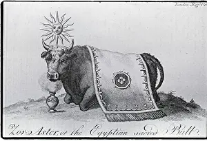 Vase Prints: Zo-Aster, The Egyptian Sacred Bull
