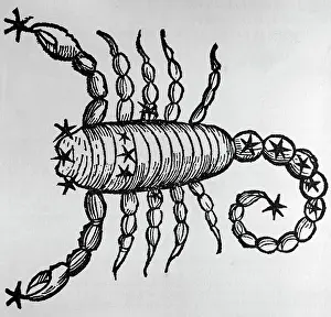 Scorpion Prints: Zodiac Sign / Constellation For Scorpio